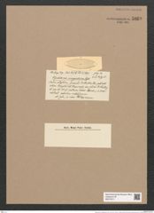Glyphodesmis margaritacea Castr. (de-Toni-Nr.: Genus 81, Species 2892) Zeichnungen Sammlung Grunow Nr. 5869 (NHMW-BOT-W0374311)